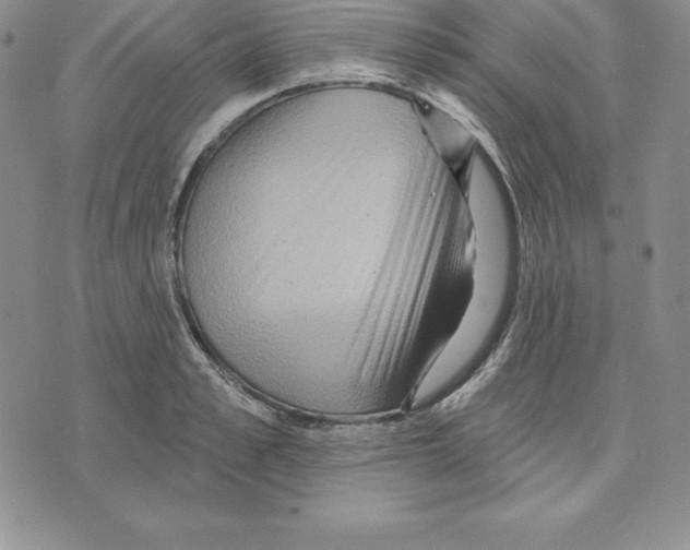 X0000075830989200610151515