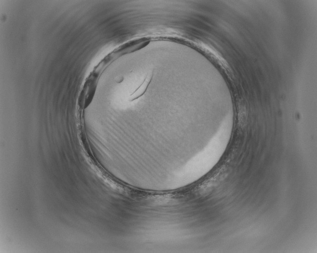 X0000075830990200610151515