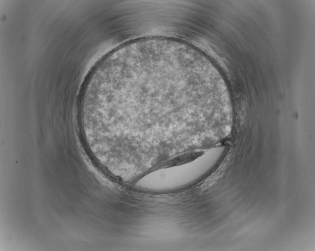 X0000075830991200610151515