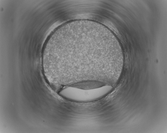 X0000075830992200610151515