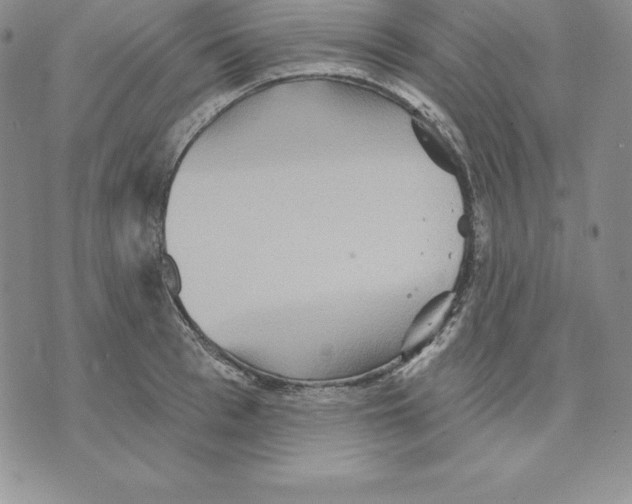 X0000075830993200610151515