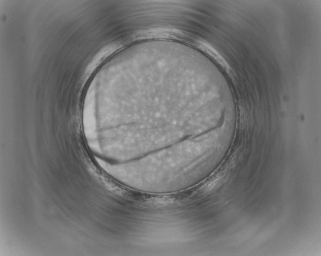 X0000075830994200610151515