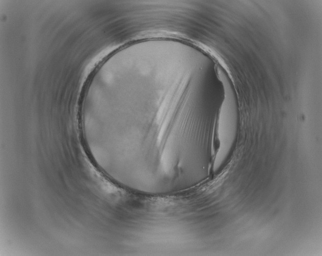 X0000075830995200610151515