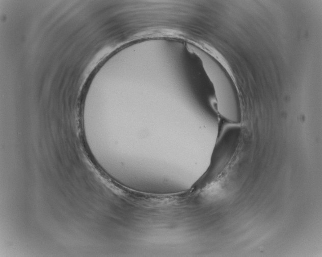 X0000075830997200610151515