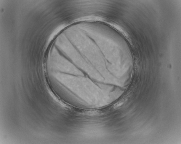 X0000075830998200610151515