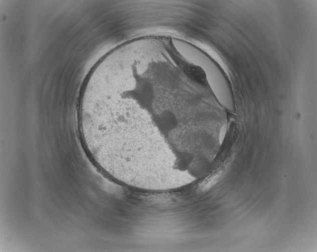 X0000075830999200610151515