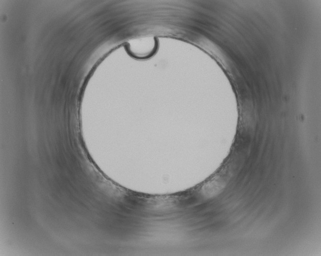 X0000075831000200610151515