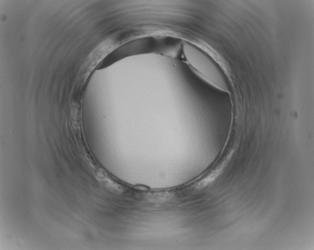 X0000075831001200610151515