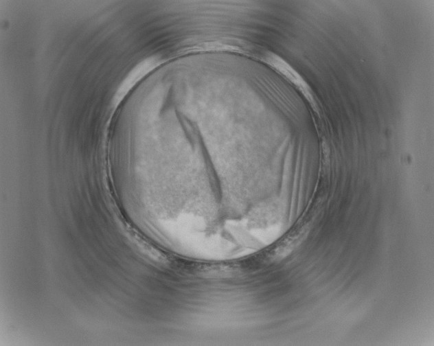 X0000075831002200610151515