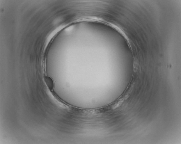 X0000075831003200610151515