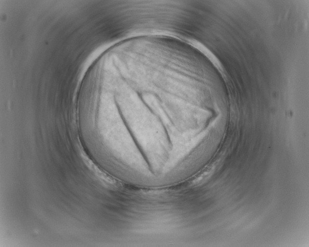 X0000075831004200610151515