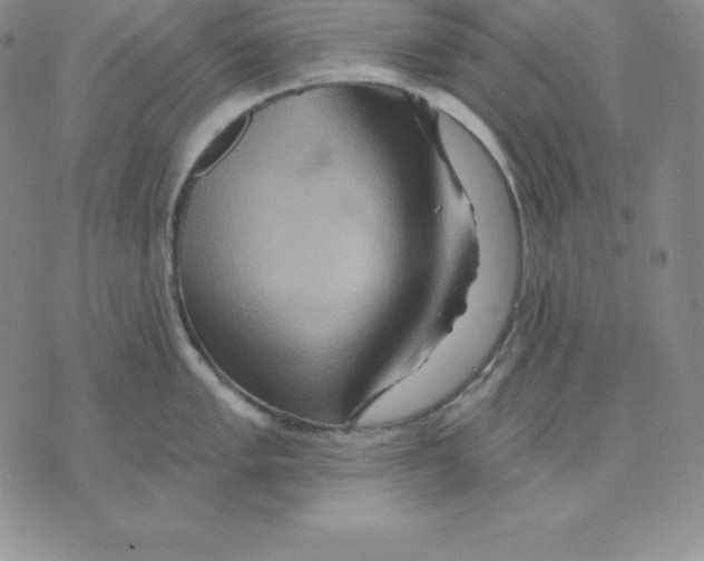 X0000075831005200610151515