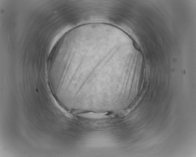 X0000075831006200610151515