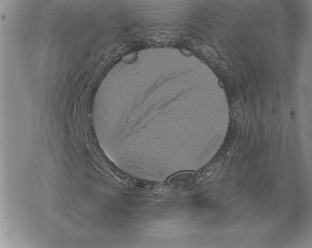 X0000075831009200610151514