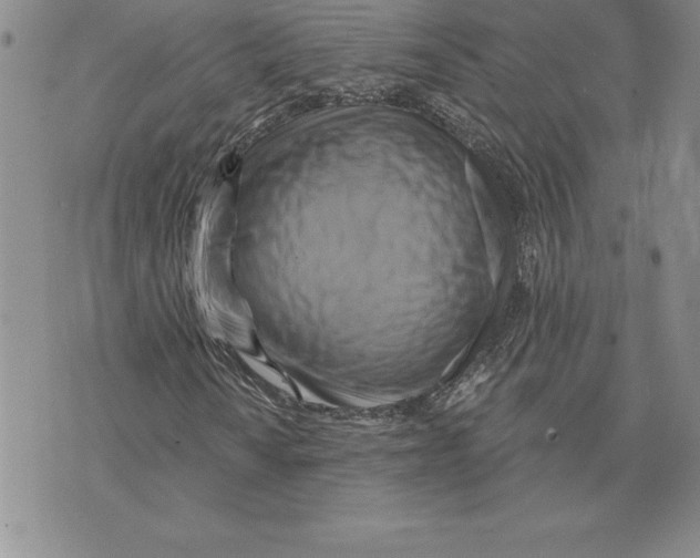 X0000075831010200610151514