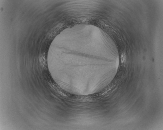 X0000075831011200610151514