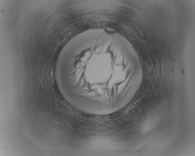 X0000075831013200610151514