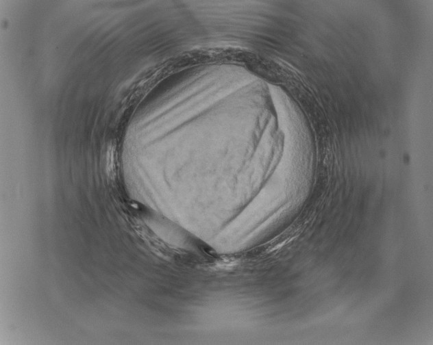 X0000075831014200610151514