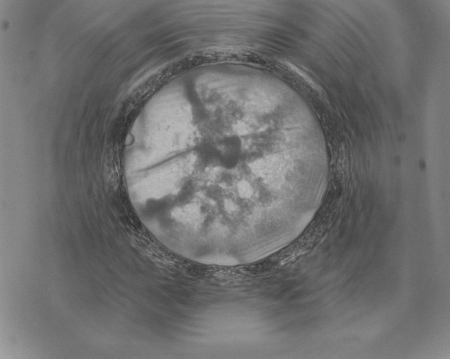 X0000075831015200610151514