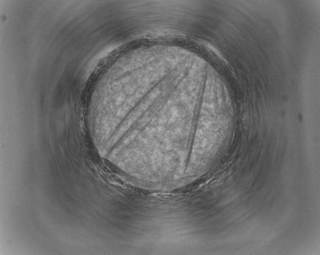 X0000075831016200610151514