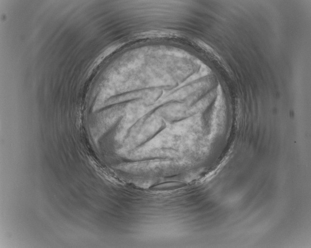 X0000075831017200610151514