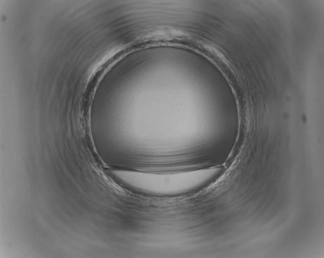 X0000075831018200610151514