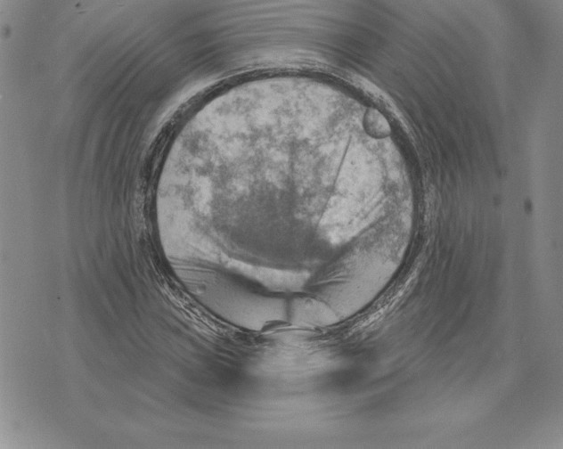 X0000075831019200610151514