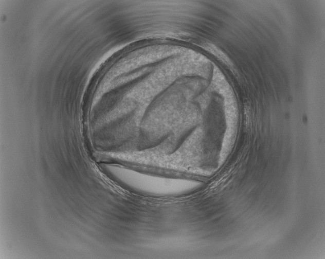 X0000075831020200610151514