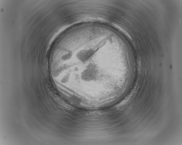 X0000075831021200610151514