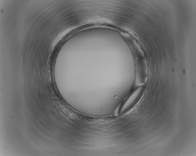 X0000075831022200610151514