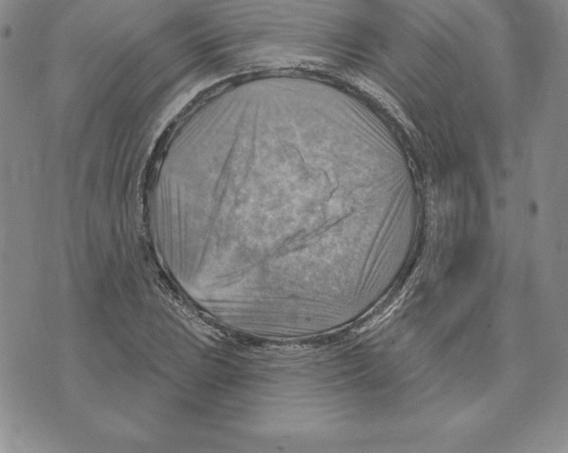 X0000075831023200610151514