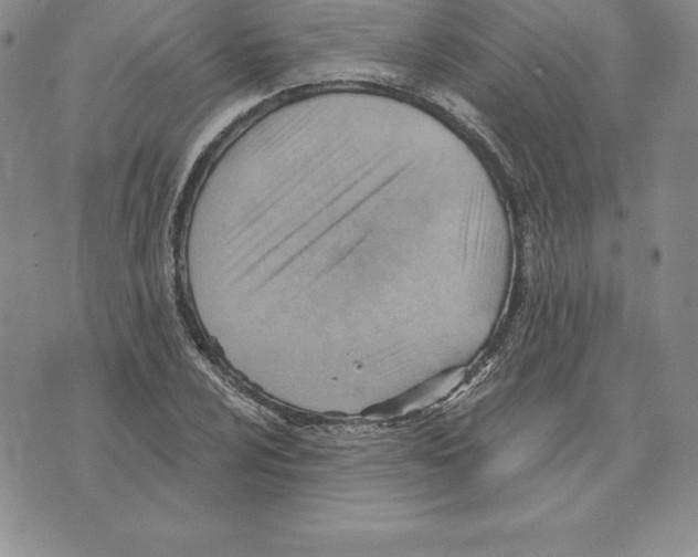 X0000075831024200610151515