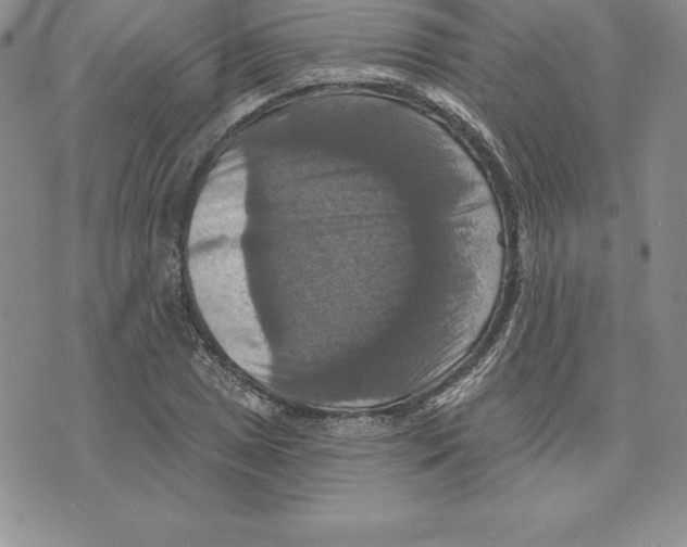 X0000075831025200610151515