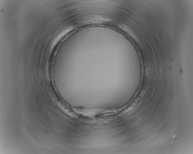 X0000075831026200610151515