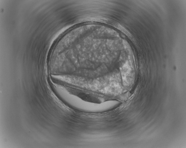 X0000075831028200610151515