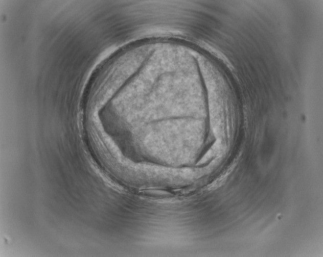 X0000075831029200610151515