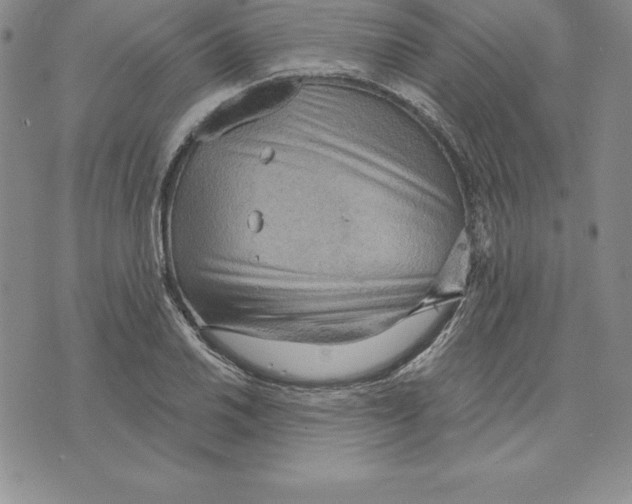 X0000075831030200610151515