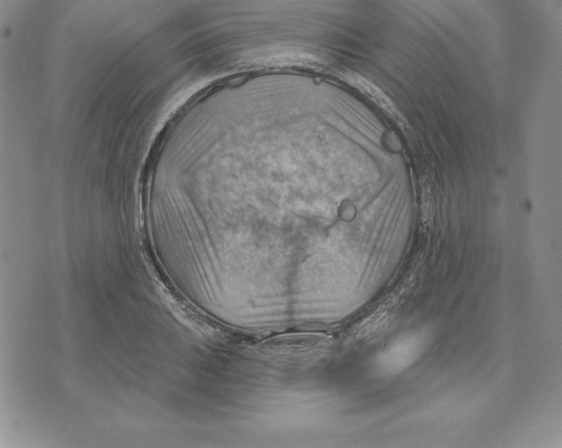 X0000075831031200610151515