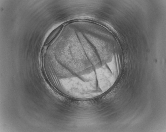 X0000075831032200610151515