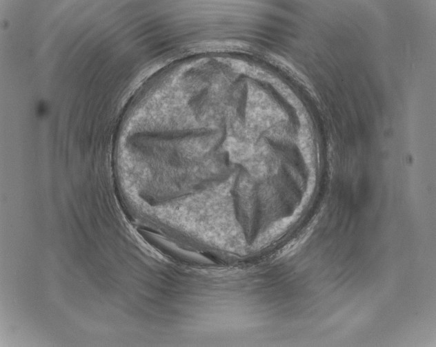 X0000075831033200610151515