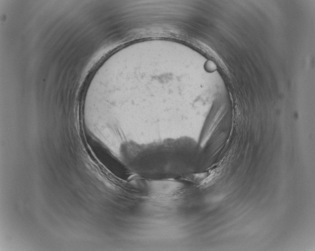 X0000075831035200610151515