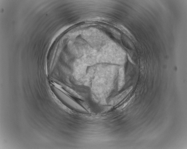 X0000075831036200610151515