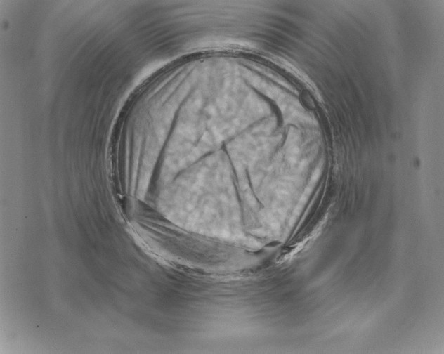 X0000075831037200610151515