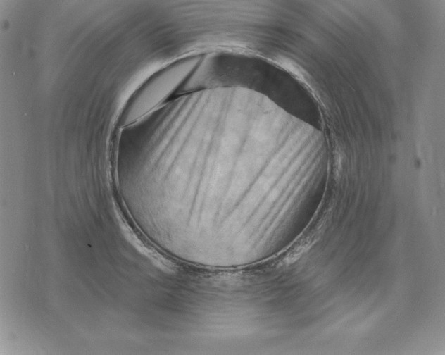 X0000075831038200610151515