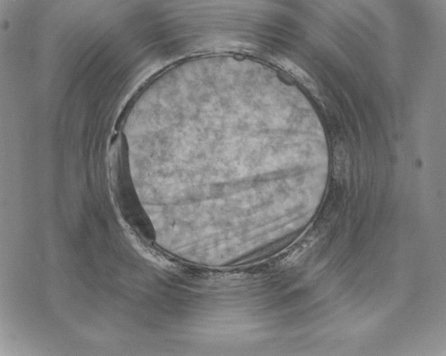 X0000075831039200610151515