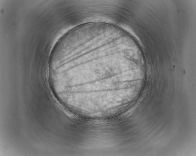 X0000075831040200610151515