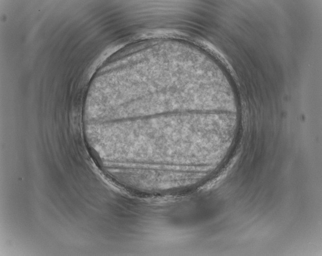 X0000075831041200610151515