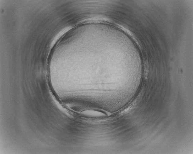 X0000075831042200610151515