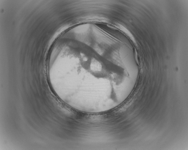 X0000075831043200610151515