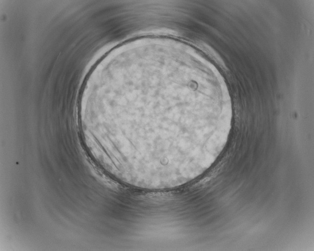 X0000075831044200610151515